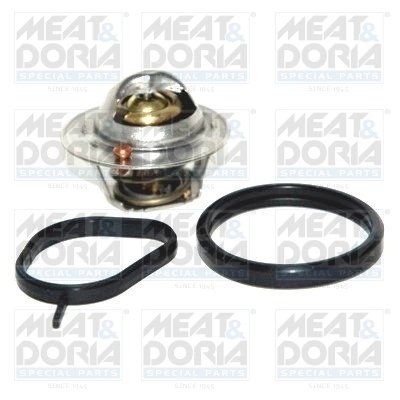 Thermostat, coolant